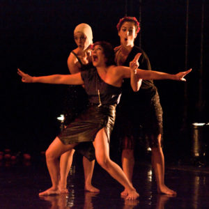 אגם הברבורים Swan Lake