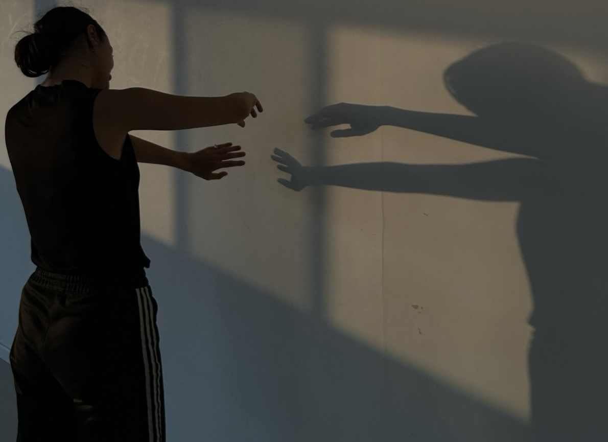 Simulation Dance