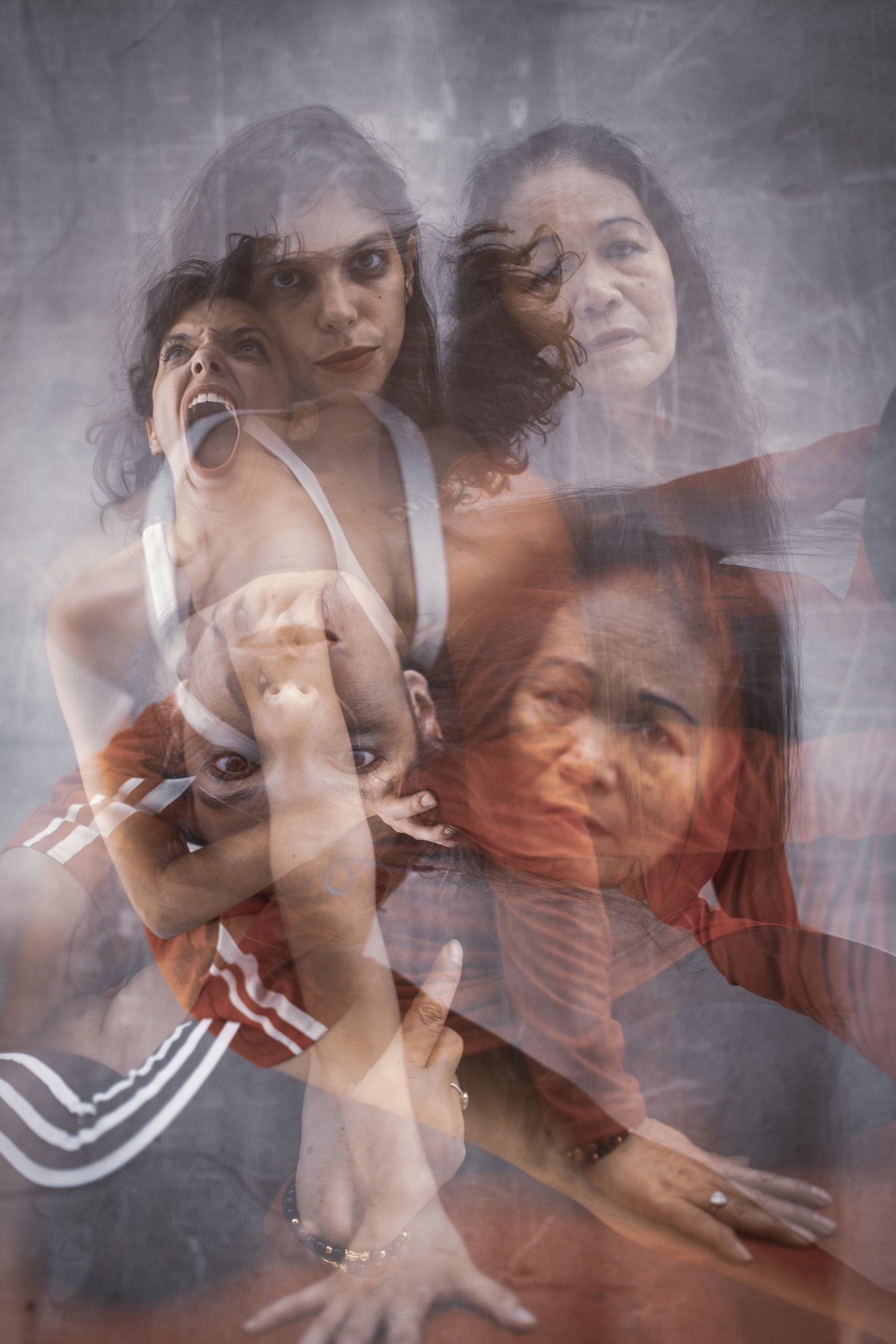 מקור חיים 53