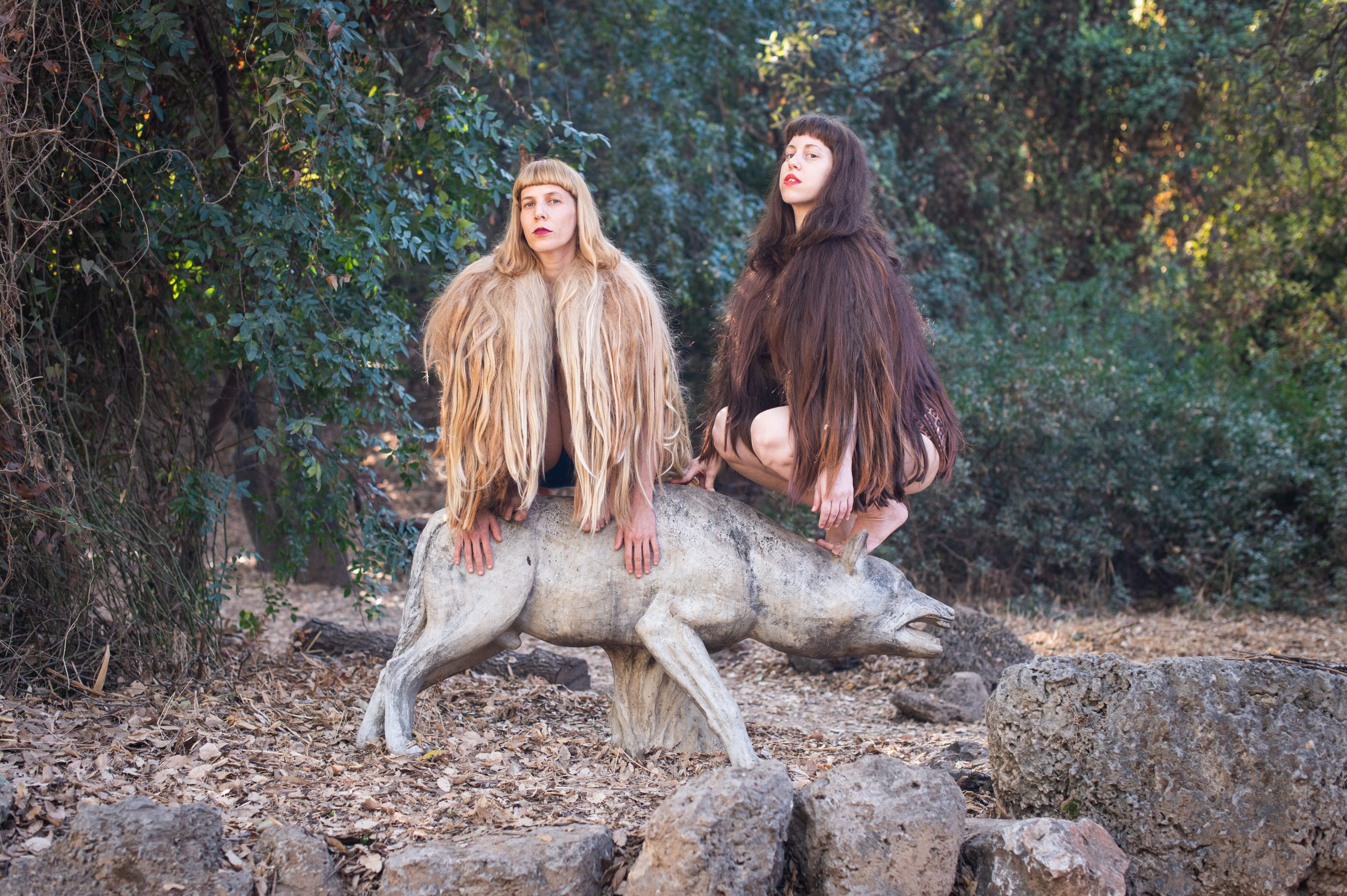 צאינה וראינה מאת מירב דגן וסתיו מרין