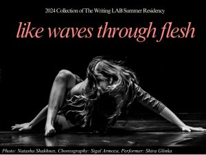 TAKE 7 by Sigal Armozapic: Natasha Shakhnes