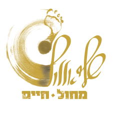 הגדה בתנועה – הכשרה מקצועית