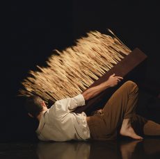 קמרה אובסקורה מאת עדי בוטרוס