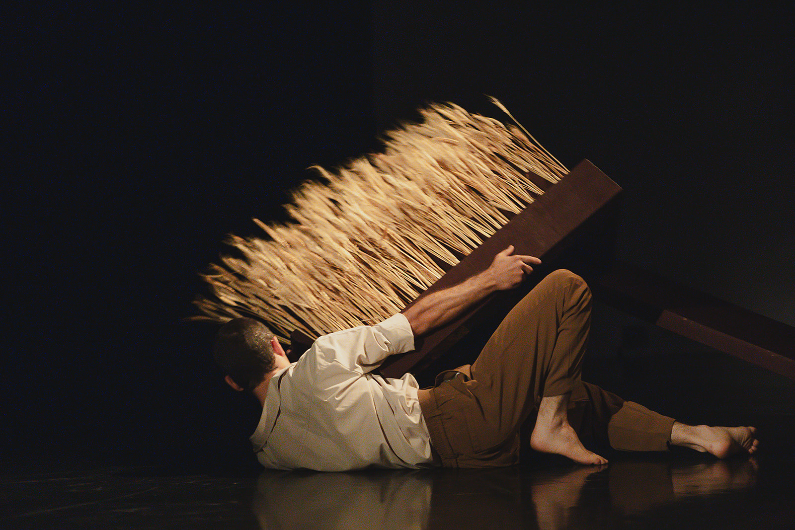 קמרה אובסקורה מאת עדי בוטרוס