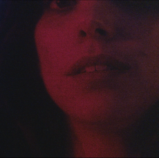 סגול – שקד מוכיח ולהקה