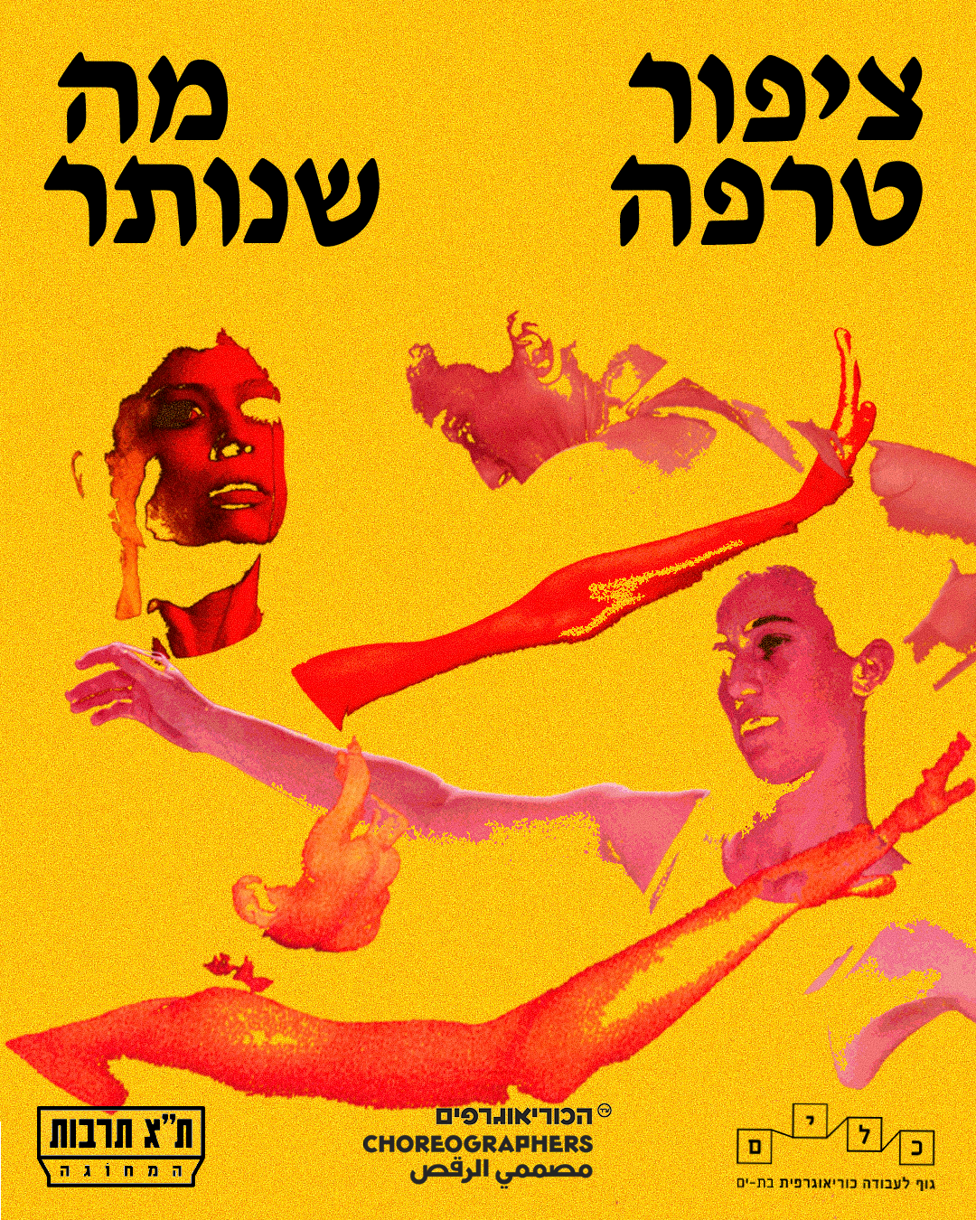 ציפור טרפה ומה שנותר